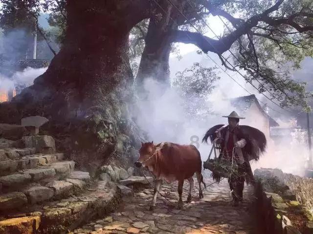 三国快打电脑版4