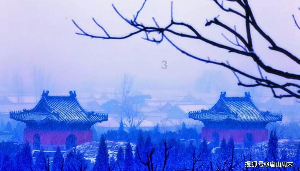 破碎的动物图形2